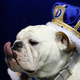 Charlie Neibergall/AP